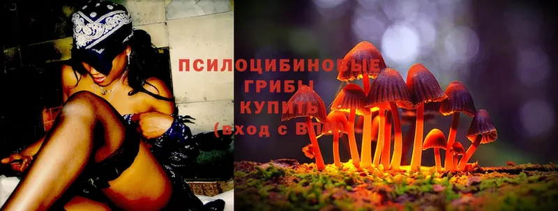 Галлюциногенные грибы Magic Shrooms  Копейск 